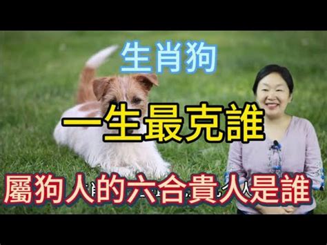 屬狗三合貴人|生肖狗的三合生肖是什麼？